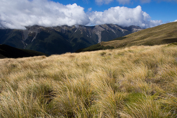 New Zealand 2013