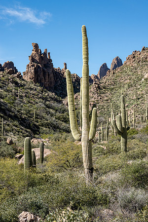 Arizona 2019