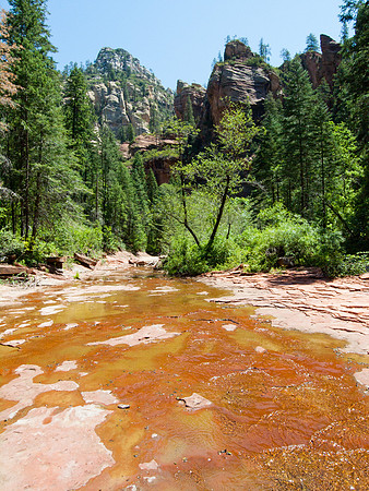 Arizona 2005
