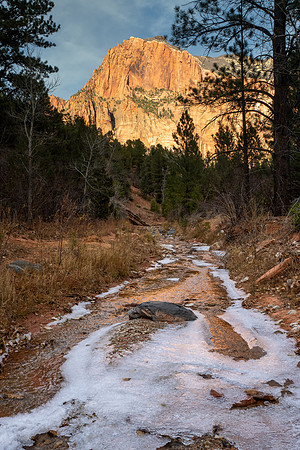 Zion National Park 2024