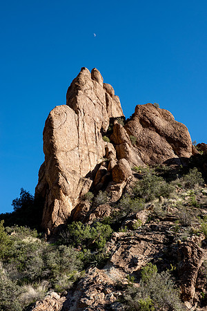 Arizona 2019