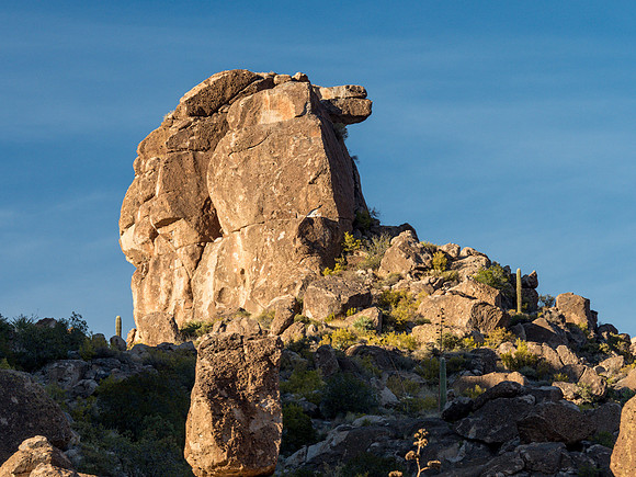 Arizona 2018