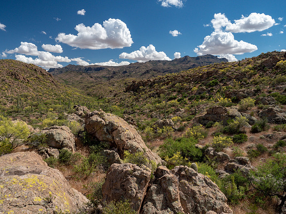 Arizona 2019