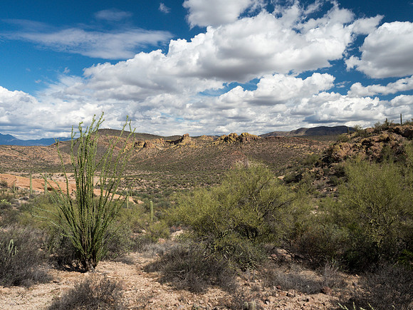 Arizona 2018