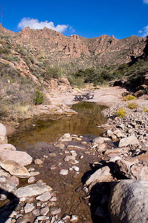 Arizona 2013 - Superstitions Hike Bluff Spring Loop