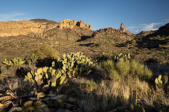 Arizona 2021