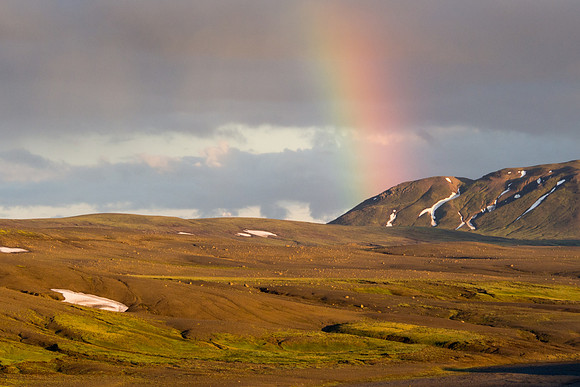 Iceland 2014