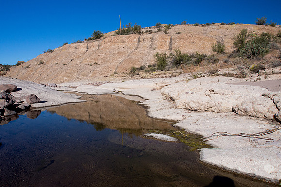 Arizona 2013 - Superstitions Hike First Water to Hackberry Sprin