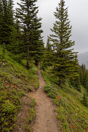 Banff National Park 2025