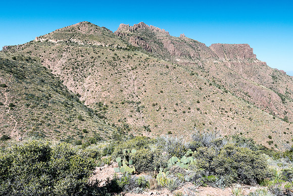 Arizona 2015 - Superstitions Ridge Hike (Mar)