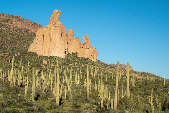 Arizona 2019