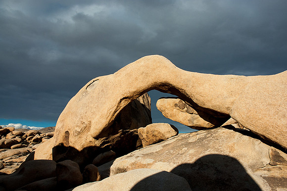 Joshua Tree National Park