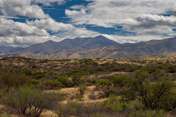 Arizona 2025