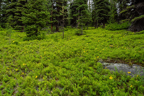 Banff National Park 2025