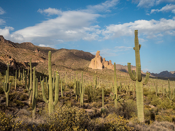 Arizona 2018