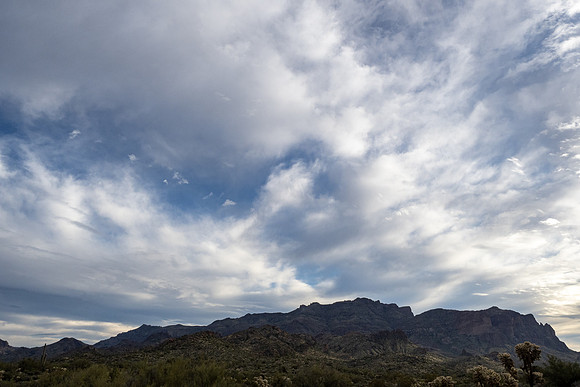 Arizona 2020