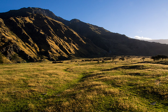 New Zealand 2013
