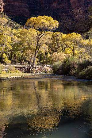 Zion National Park 2024