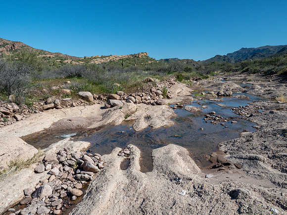 Arizona 2019