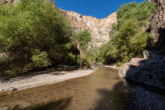 Arizona 2022