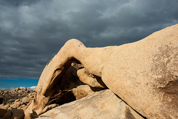 Joshua Tree National Park