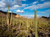 Arizona USA