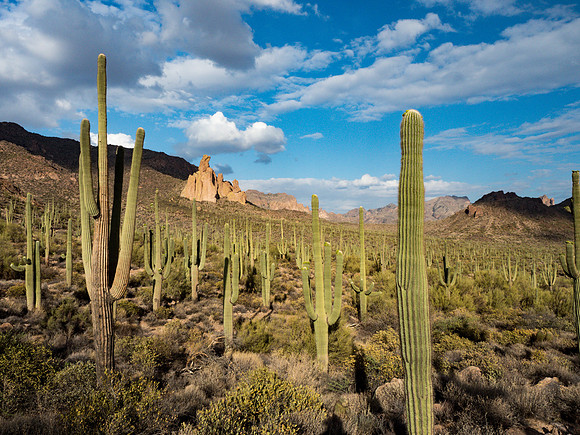 Arizona 2018