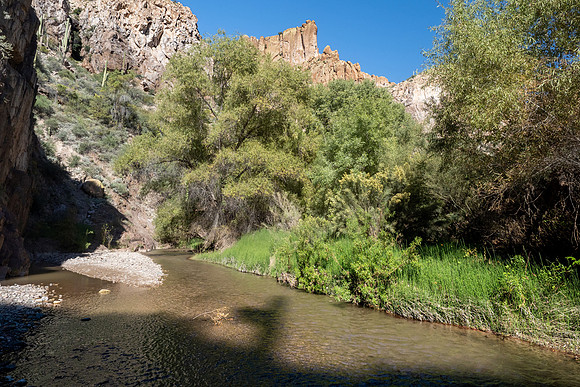 Arizona 2022