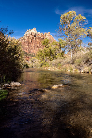 Zion National Park 2024