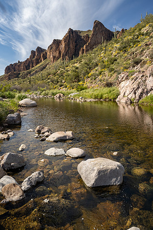 Arizona 2020