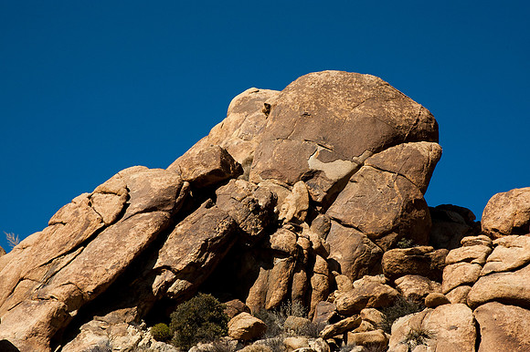 Joshua Tree National Park