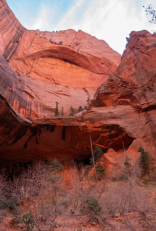 Zion National Park 2024