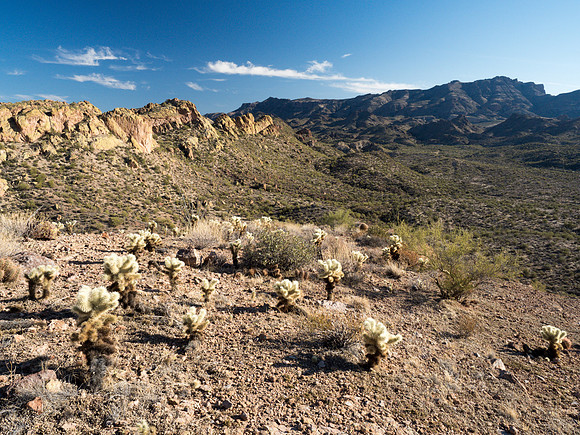 Arizona 2018