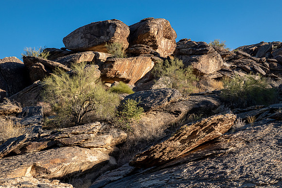 Arizona 2020