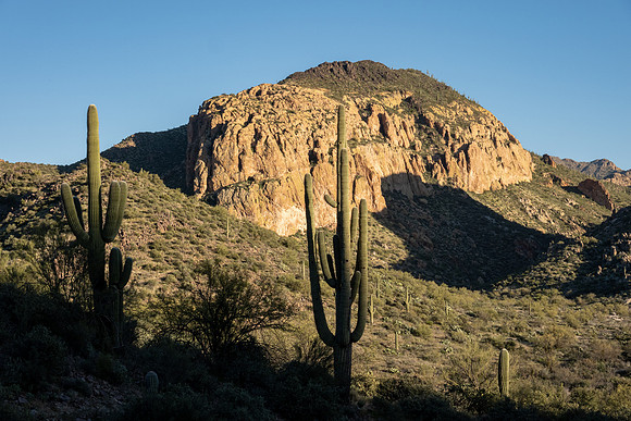 Arizona 2020