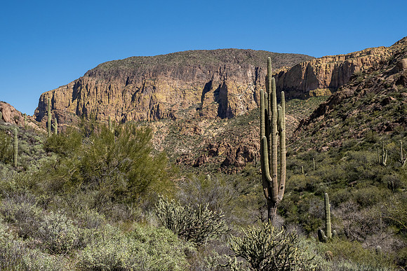 Arizona 2020