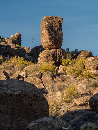 Arizona 2018