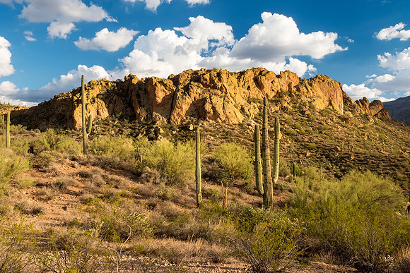 Arizona 2018
