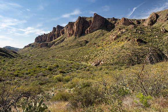 Arizona 2020