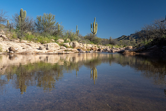 Arizona 2020