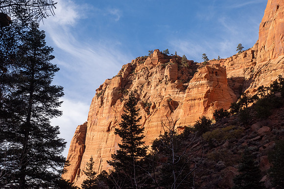 Zion National Park 2024