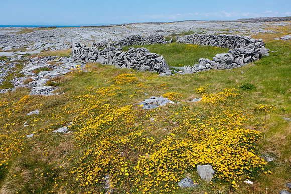 Ireland 2013