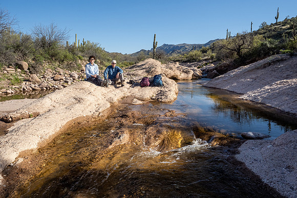 Arizona 2020