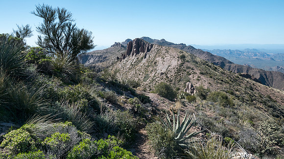 Arizona 2015 - Superstitions Ridge Hike (Mar)