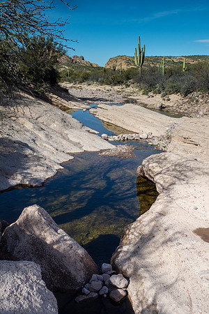 Arizona 2020