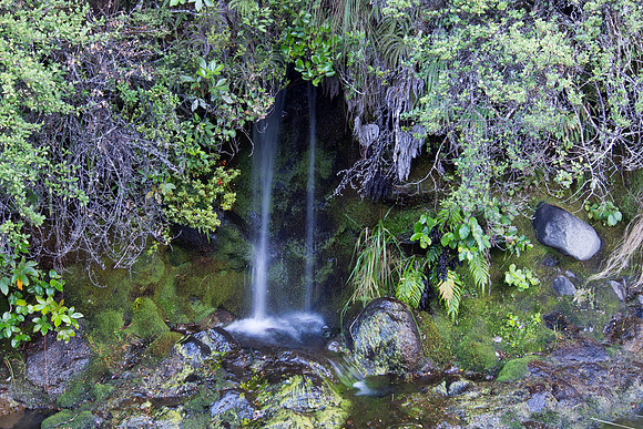 New Zealand 2013