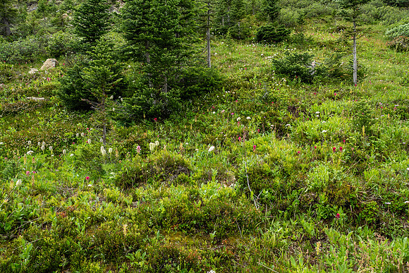 Banff National Park 2025