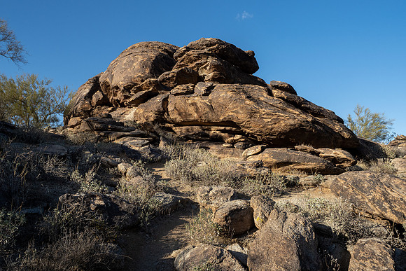 Arizona 2021