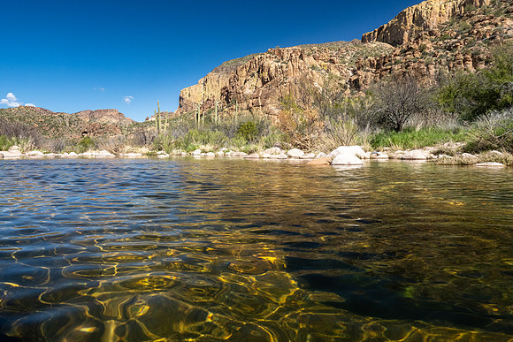 Arizona 2020