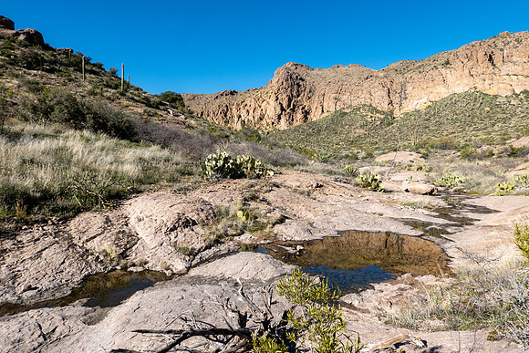 Arizona 2019